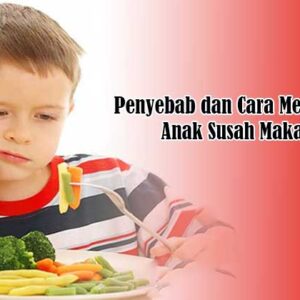 Penyebab dan Cara Mengatasi Anak Susah Makan