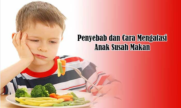 Penyebab dan Cara Mengatasi Anak Susah Makan