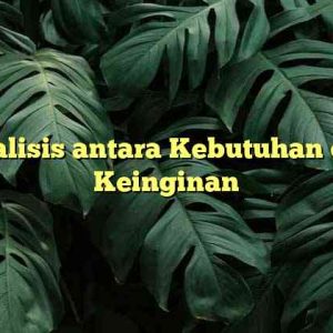 Analisis antara Kebutuhan dan Keinginan